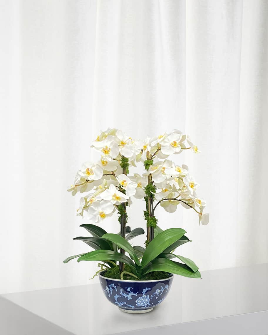 Orchid in Longlife Bowl