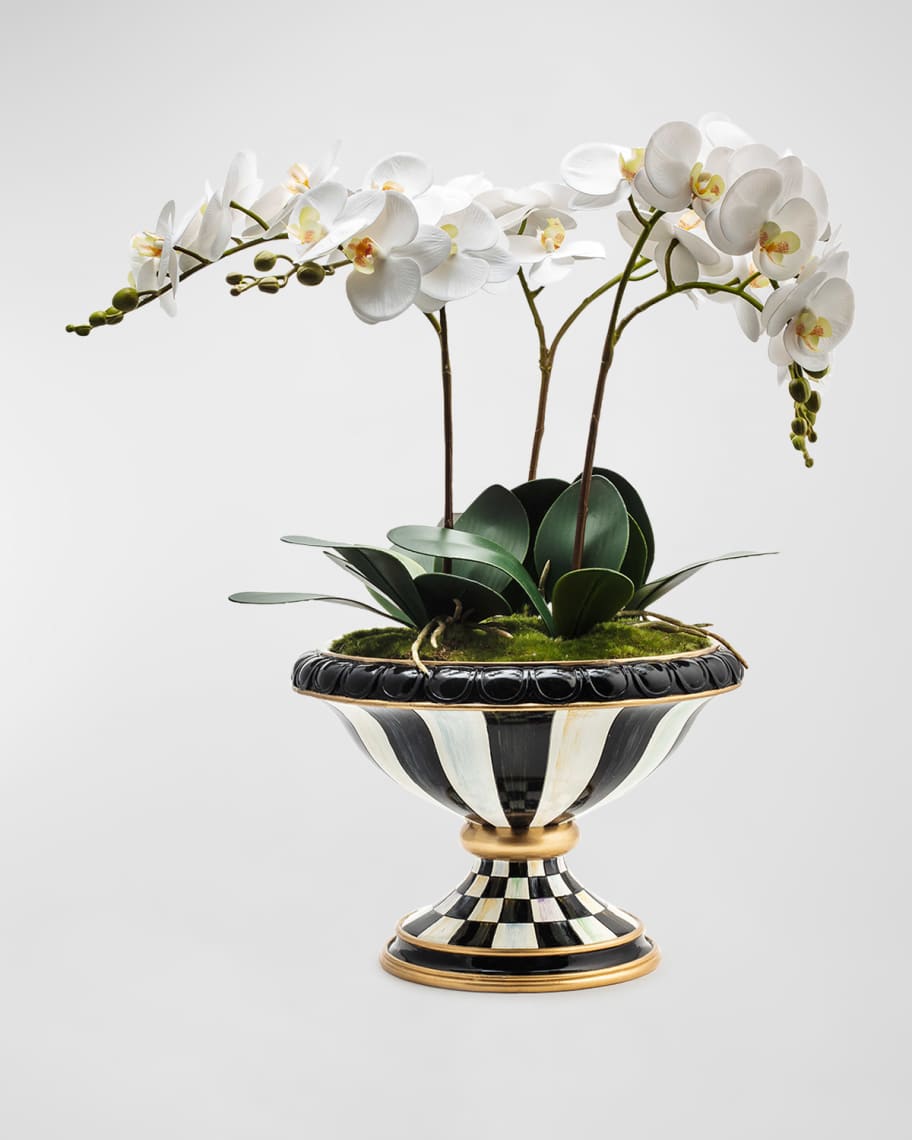 Image 1 of 2: Courtly Check Orchid Arrangement 