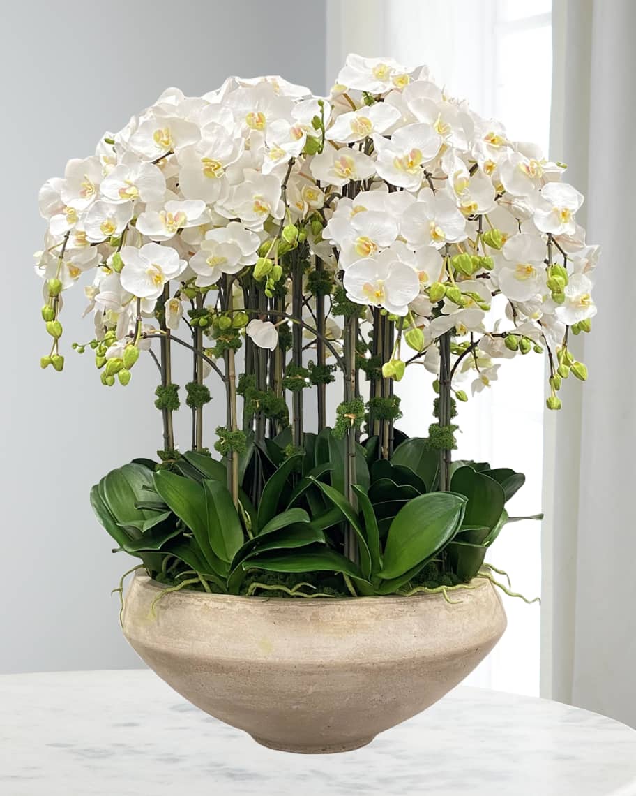Image 1 of 1: Orchid Arrangement in Tapered Bowl