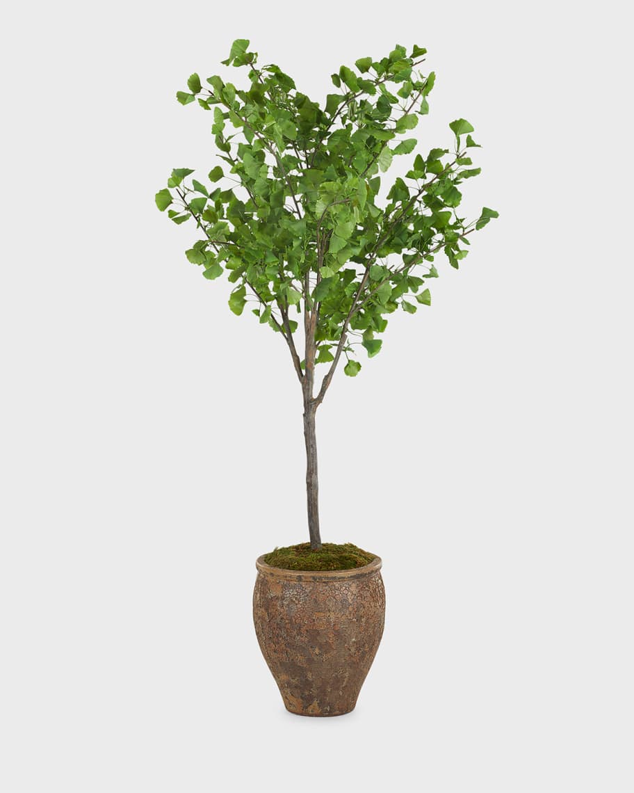 Image 3 of 6: Atlantis Ginko Tree 