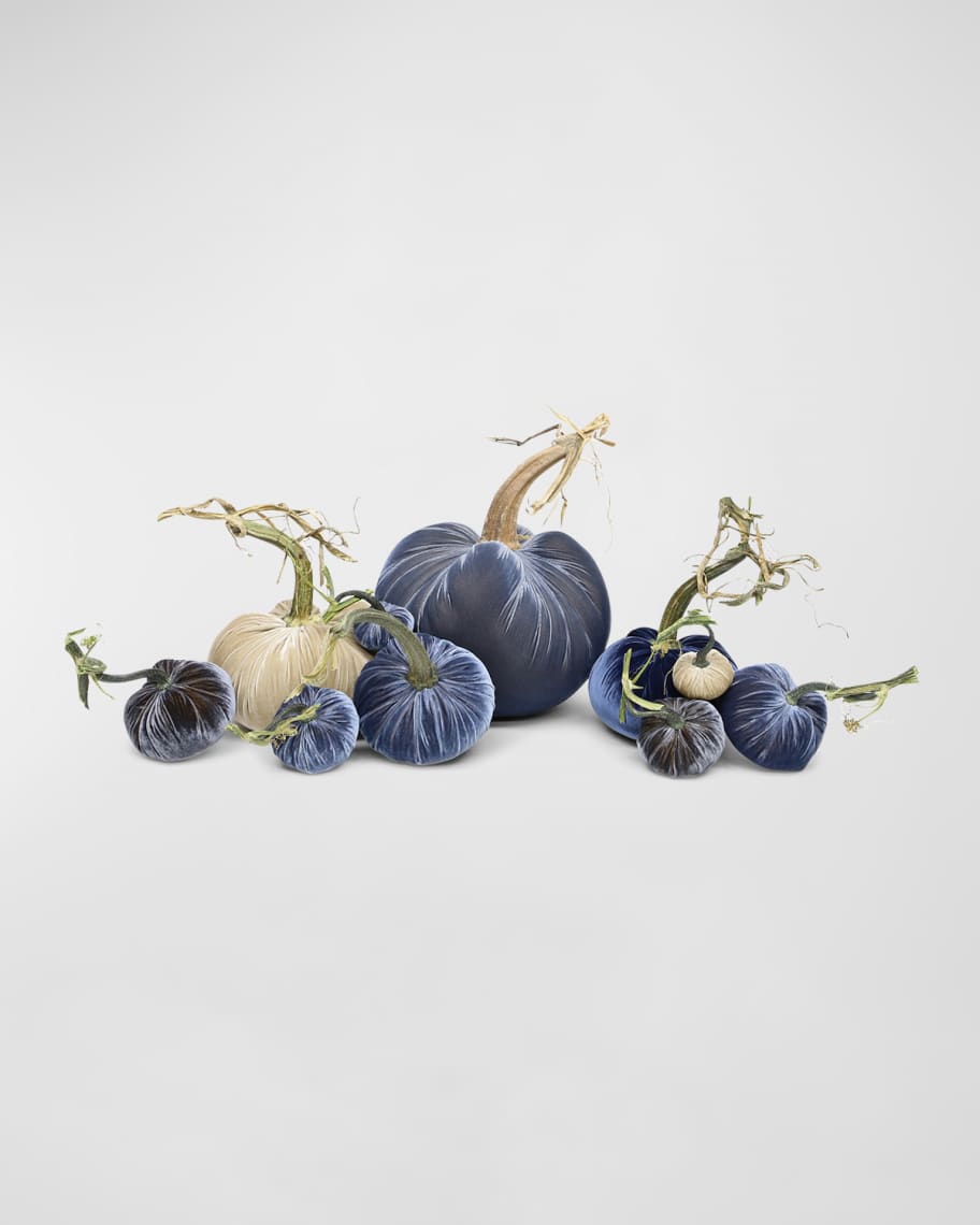 Image 1 of 1: Mixed Velvet Pumpkins, Set of 10