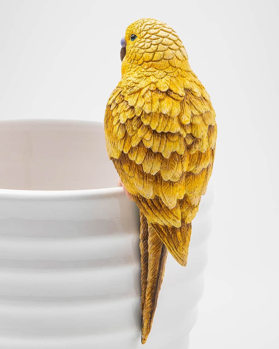 Image 3 of 4: Parakeet Pot Climber