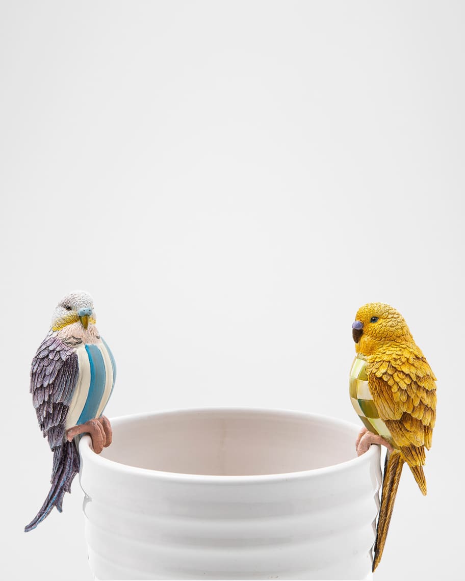 Image 2 of 2: Blue Parakeet Pot Climber