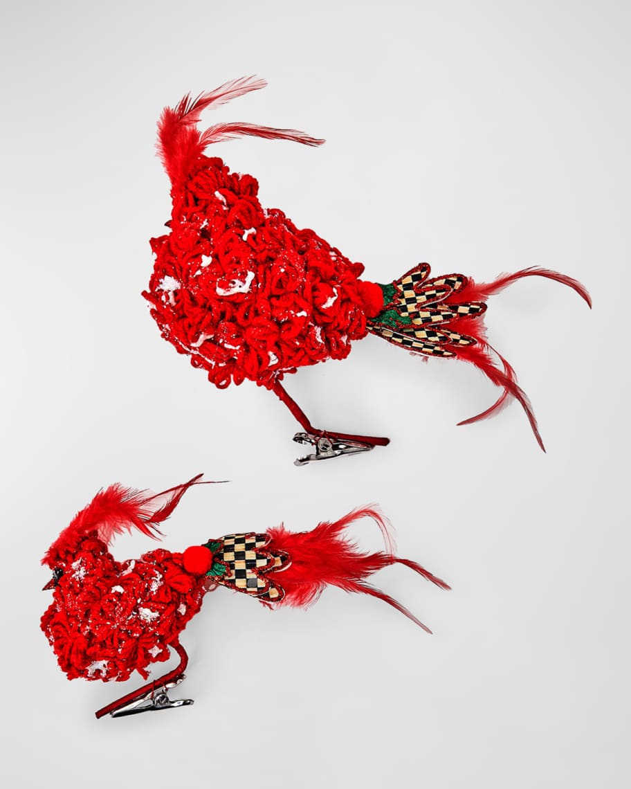Image 1 of 1: Cozy Christmas Bird Clips, Set of 2