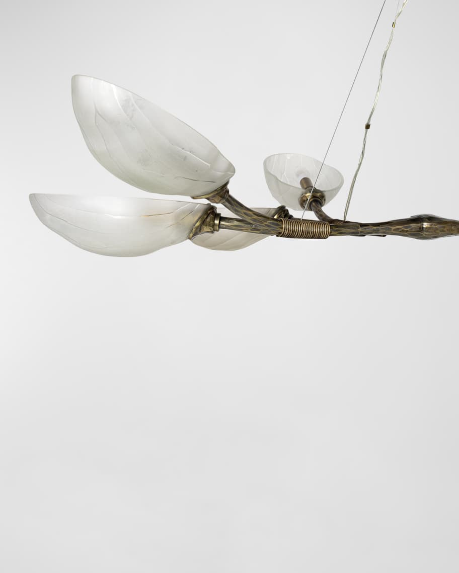 Image 2 of 2: Terrence Chandelier 