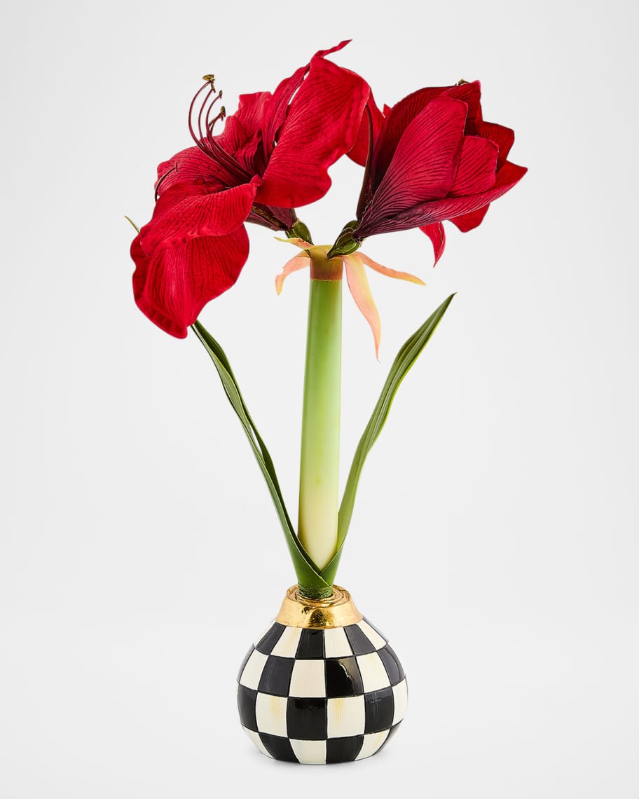 MacKenzie Childs Courtly Check Amaryllis Bulb Arrangement Horchow