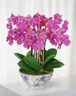 Image 1 of 2: Winward Home Orchid in Rose Trellis Bowl