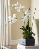 White Orchid in Black Planter Faux-Floral Arrangement