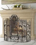 Image 1 of 2: Medallion Fireplace Screen