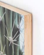 Image 3 of 3: Four Hands "Cactus Garden" Photography Print on Maple Box Framed Wall Art