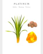 Image 4 of 4: Baobab Collection Platinum Scented Candle, 6.3"