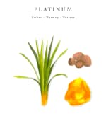 Image 2 of 4: Baobab Collection Platinum Scented Candle, 6.3"