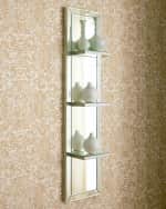 Image 3 of 3: Mirrored Shelf Wall Panel