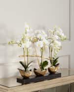 Image 1 of 2: John-Richard Collection Silhouette Orchids II