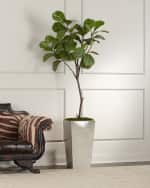 Image 1 of 3: John-Richard Collection Tarro Fig Tree
