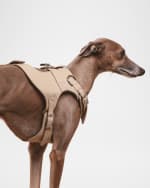 Image 5 of 5: PAGERIE The Colombo Dog Harness