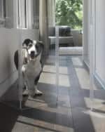 Image 3 of 6: HIDDIN Clear Freestanding Pet Gate Zig Zag, 10-Panel