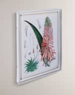 Image 2 of 3: Port 68 Tropicals I Giclee 