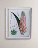 Image 1 of 3: Port 68 Tropicals I Giclee 