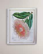 Image 1 of 2: Port 68 Tropicals IV Giclee 