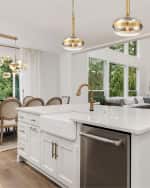 Image 2 of 2: Eurofase Nottingham 20" Pendant Light 