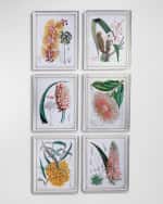 Image 3 of 3: Port 68 Tropicals I Giclee 