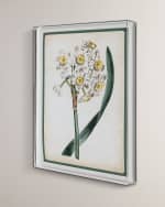 Image 2 of 2: Port 68 "Narcissus IV" Giclee Print 