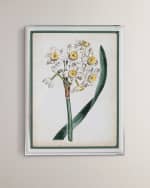 Image 1 of 2: Port 68 "Narcissus IV" Giclee Print 