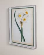 Image 2 of 2: Port 68 "Narcissus III" Giclee Print 