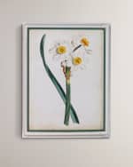 Image 1 of 2: Port 68 "Narcissus III" Giclee Print 