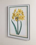 Image 2 of 2: Port 68 "Narcissus II" Giclee Print