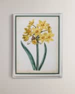 Image 1 of 2: Port 68 "Narcissus II" Giclee Print