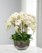 Image 1 of 2: Winward Home Orchid Phalaenopsis in Bowl 