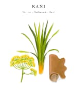Image 4 of 4: Baobab Collection Sacred Trees Kani 4-Wick Max10 Candle, 47.6 oz.