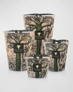 Image 4 of 4: Baobab Collection Sacred Trees Kani 7-Wick Max35 Candle, 352.7 oz.