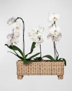 Image 2 of 3: Juliska Provence Rattan Rectangular Planter
