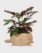 Image 3 of 6: Juliska Provence Turtle Rattan Bowl 