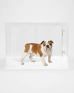 Image 2 of 5: HIDDIN Medium Clear View Pet Crate with Golden Latches