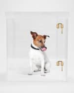 Image 2 of 6: HIDDIN Small Clear View Pet Crate with Golden Latches