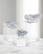 Image 4 of 4: John-Richard Collection  Ocean Floor Sculpture on Crystal Base III