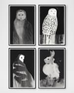 Image 2 of 2: Grand Image Home "Instincts 1" Print by Van Hoang, Framed Under Glass
