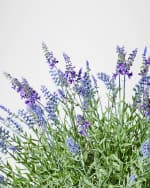 Image 3 of 6: MacKenzie-Childs Lavender Urn Filler