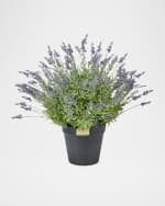 Image 1 of 6: MacKenzie-Childs Lavender Urn Filler