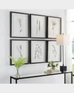 Image 2 of 4: The Uttermost Co "Forest Finds" Framed Botanical Prints, Set of 6