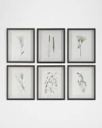 Image 1 of 4: The Uttermost Co "Forest Finds" Framed Botanical Prints, Set of 6