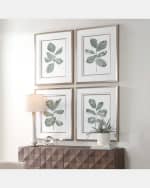 Image 2 of 5: The Uttermost Co "Fiddle Head Leaf" Framed Botanical Prints by Haley Knighten, Set of 4