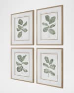 Image 4 of 5: The Uttermost Co "Fiddle Head Leaf" Framed Botanical Prints by Haley Knighten, Set of 4