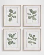 Image 1 of 5: The Uttermost Co "Fiddle Head Leaf" Framed Botanical Prints by Haley Knighten, Set of 4