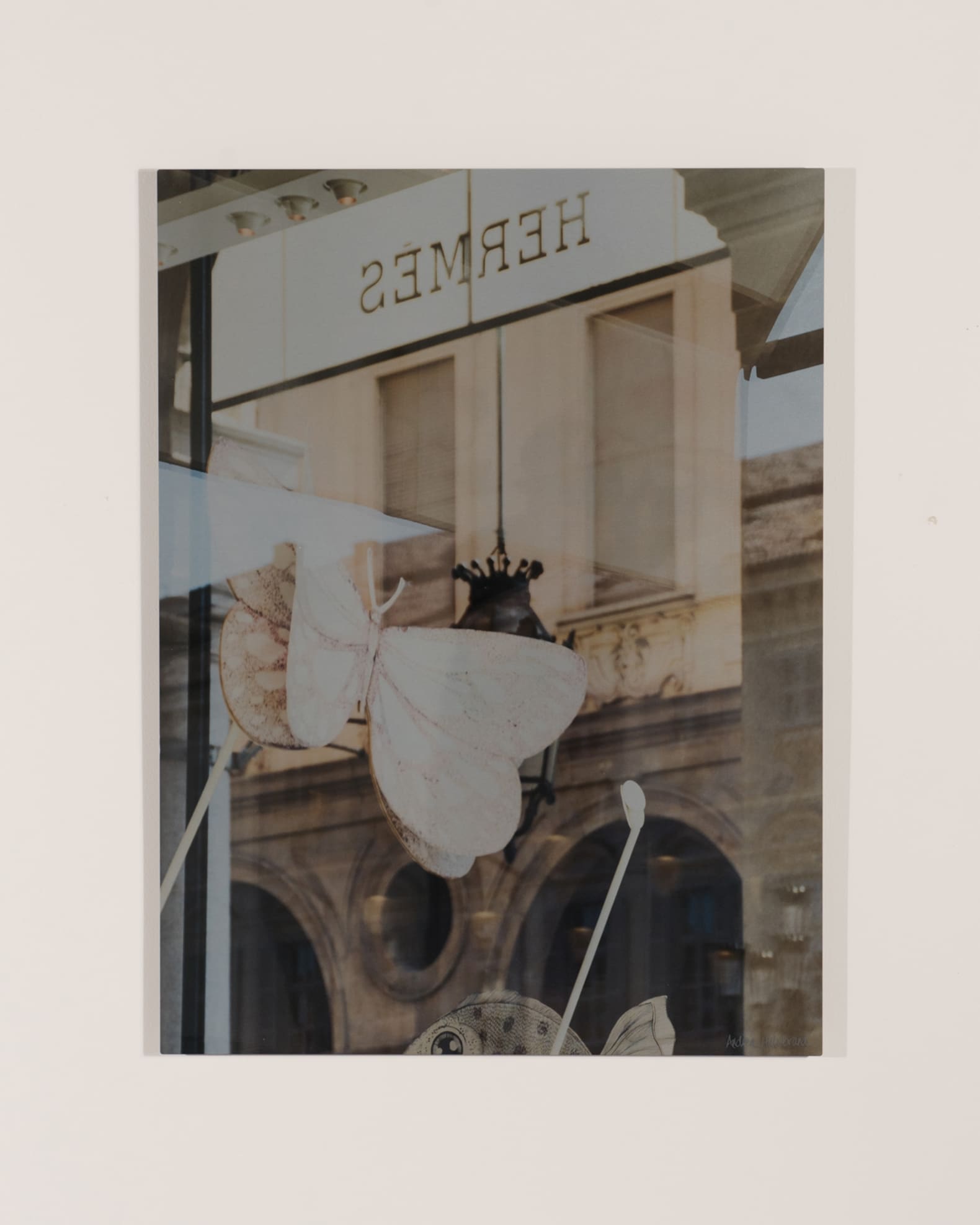 RFA Fine Art "Turin Hermes I" Print Photography Art by Andrea Hillebrand