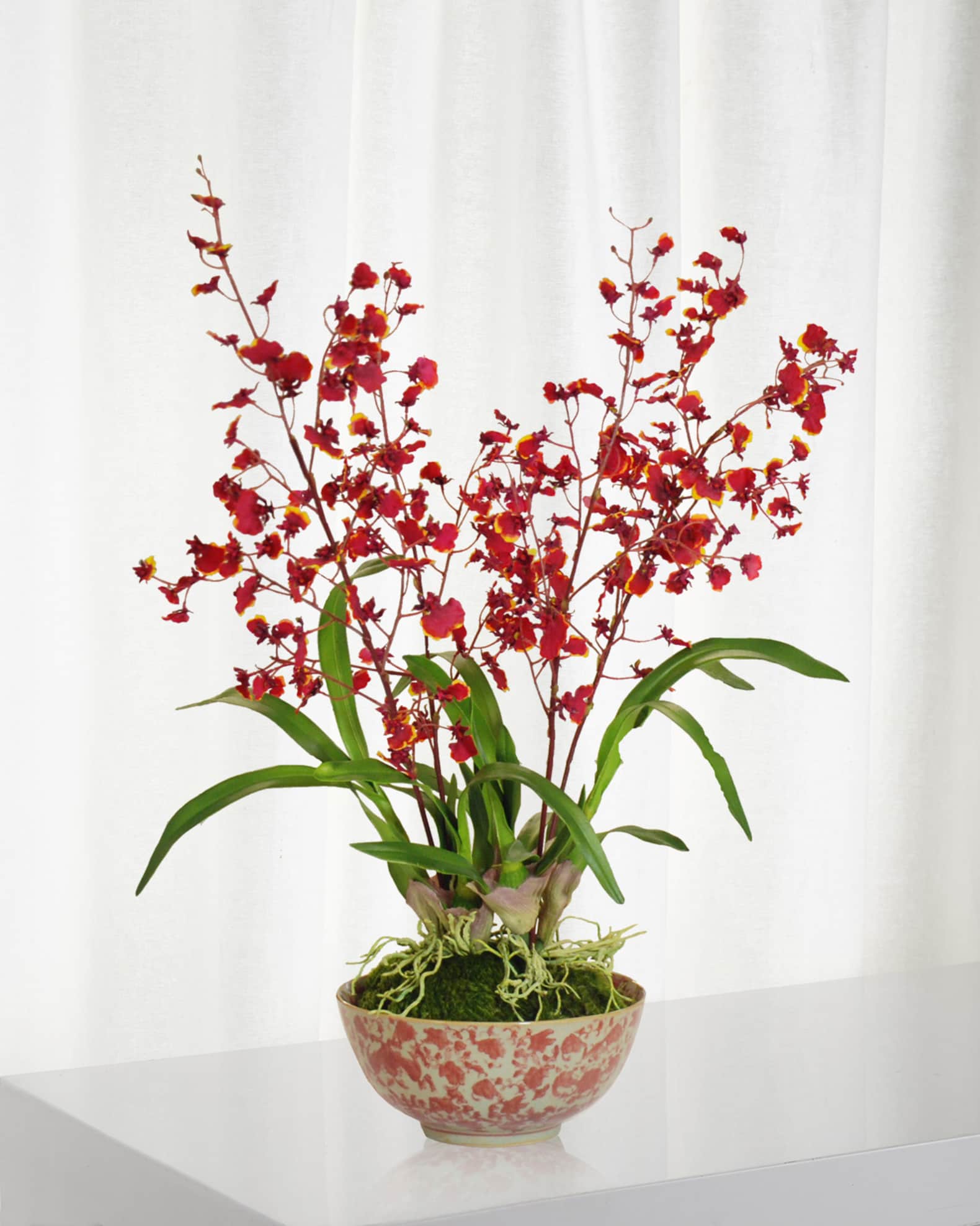 Winward Home Orchid in Longlife Bowl